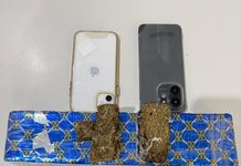 Homem é preso com 2,5 kg de maconha em transporte intermunicipal com destino a Itabaiana
