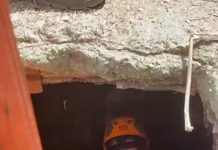 Filhote de cachorro cai em cisterna e é resgatado pelos Bombeiros em Lagarto