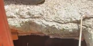 Filhote de cachorro cai em cisterna e é resgatado pelos Bombeiros em Lagarto
